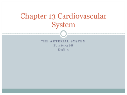 Chapter 13 Cardiovascular System