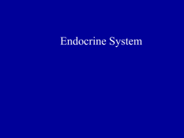 Endocrine System - HCC Learning Web