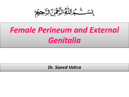 4-Female Perineumx