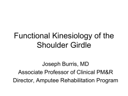 Functional Kinesiology of the Shoulder Girdle