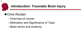Intro Lecture Powerpoint - McCausland Center For Brain Imaging