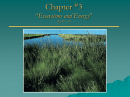 Lecture - Chapter 3 - Ecosystems and Energy