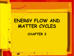 ch 3 CP biomes energyflow and matter cycles