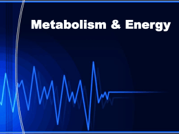 Metabolism & Energy