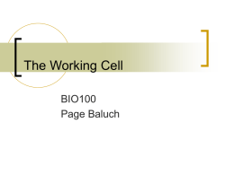 The Working Cell