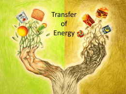 Transfer of Energy (Powerpoint Notes)