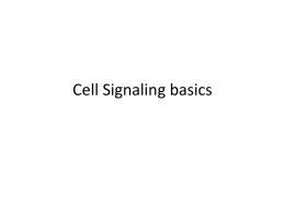 Cell Signaling basics