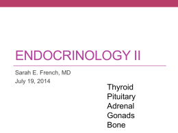 Endocrinology II (French)