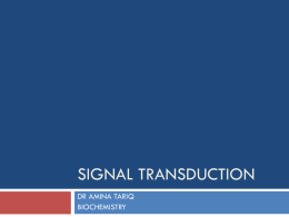 SIGNAL TRANSDUCTION.ppt