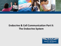 02 Endocrine and Cell Communication Endocrine System PPT