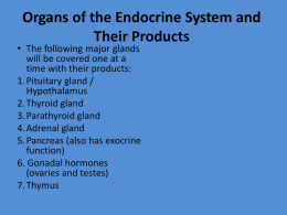 Organs of the Endocrine System and Their Products