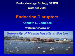Endocrine Disruptors - University of Massachusetts Boston