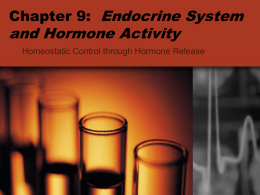 Endocrine System Introduction
