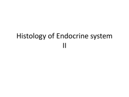 Histology of Endocrine system II