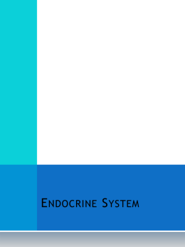 Endocrine System - ESC-2