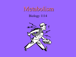 Metabolism - UCO