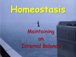 Homeostasis - ScienceGeek.net