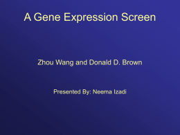 A Gene Expression Screen