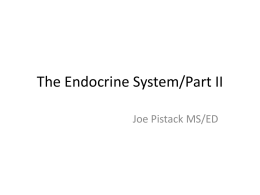 The Endocrine System/Part II - Wilkes