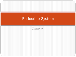 Endocrine System - Onteora Central School District