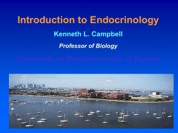 Introduction to Basic, Hypothalamic, and Hypophysial Endocrinology