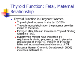 Thyroid Function: Fetal, Maternal Relationship