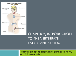 Chapter 2, Introduction to the vertebrate endocrine system
