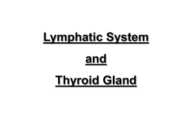 Lymphatic System and Thyroid Gland