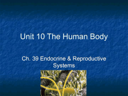 Unit 10 The Human Body - Jamestown Public Schools