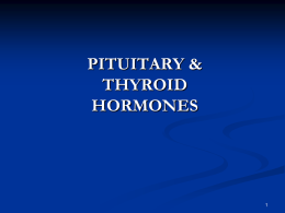 hormones of the pituitary and thyroid