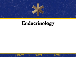 Endocrine PPT A