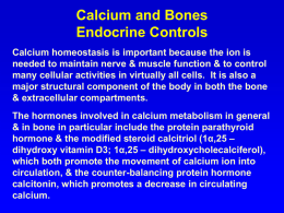 Calcium Homeostasis & Bone Metabolism