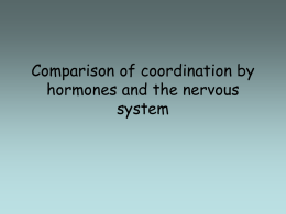 Comparison of coordination by hormones and the nervous system