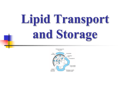 Lipid Transport & Storage