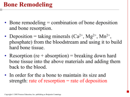 06_bone_remodeling