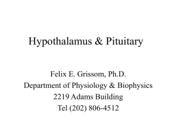 Hypothalamus & Pituitary