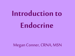 Introduction to Endocrine
