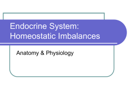 Endocrine System: Homeostatic Imbalances
