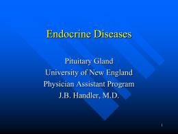Endocrine Diseases