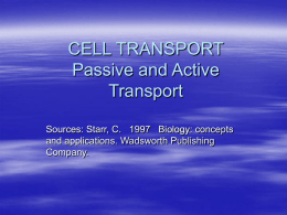 Cell Transport notes