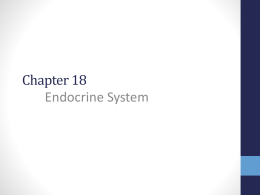 Endocrine Chapter 18