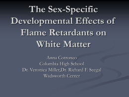 The Developmental Effects of Flame Retardants on
