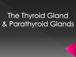 Thyroid Powerpoint (GOOD COPY)