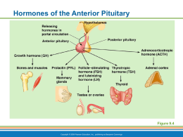 Pituitary Notes