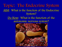 Topic: The Endocrine System