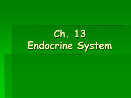 Endocrine System PPT - Effingham County Schools