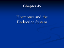 Ch 45 Endocrine System