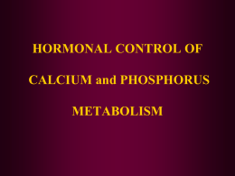 13_Hormonal regulation of calcium and phosphorus homeostasis