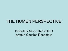 THE HUMEN PERSPECTIVE