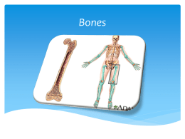 CHAPTER 6 *Bones and Skeletal Tissue*